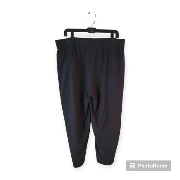 Eileen Fisher Gray Pullon Cropped Pants Size Large - Picture 2 of 5